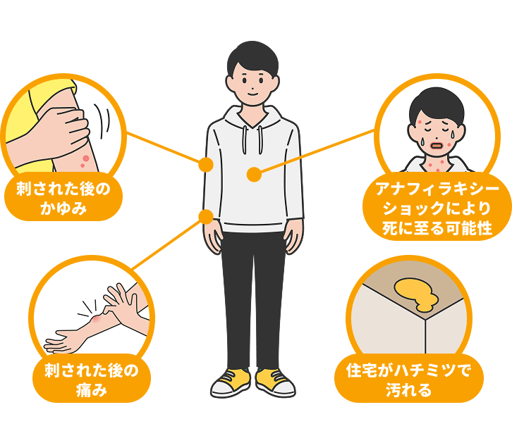 刺された後のかゆみ|刺された後の痛み|住宅がハチミツで汚れる|アナフィラキシーショックにより死に至る可能性