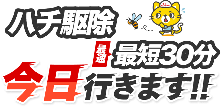 ハチ駆除 無料現地調査 今日行きます！！ どんな種類のハチもお任せください！